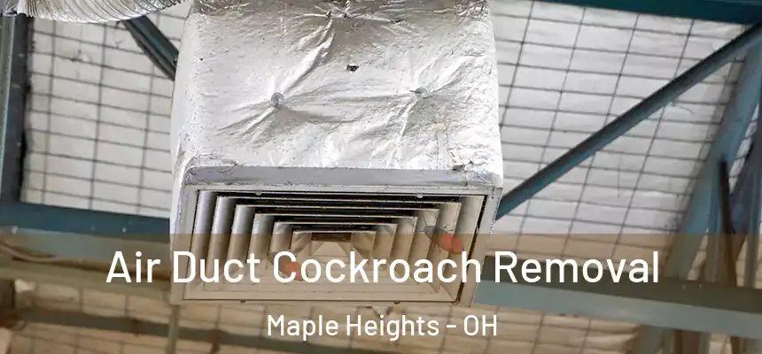Air Duct Cockroach Removal Maple Heights - OH