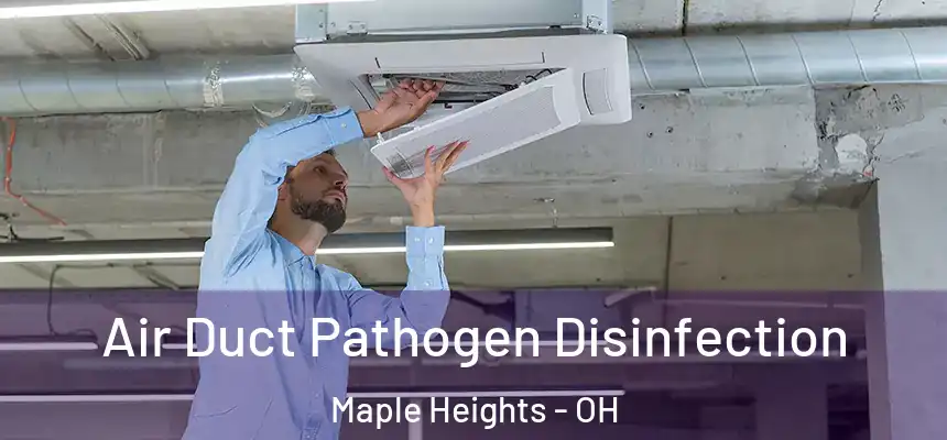  Air Duct Pathogen Disinfection Maple Heights - OH