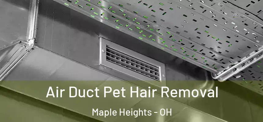 Air Duct Pet Hair Removal Maple Heights - OH