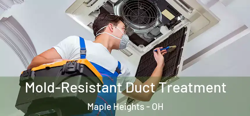  Mold-Resistant Duct Treatment Maple Heights - OH