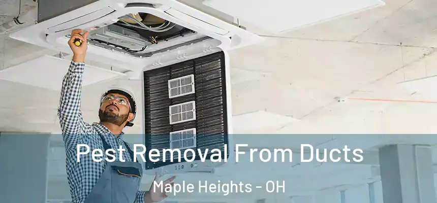  Pest Removal From Ducts Maple Heights - OH