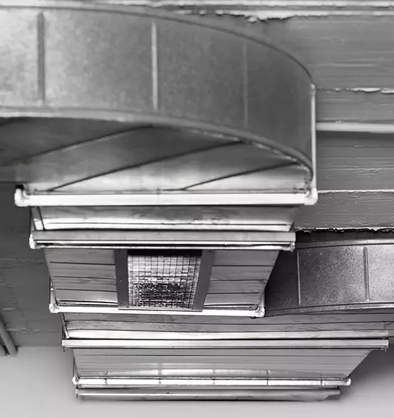 Professional Air Duct Pest Removal in Maple Heights, OH