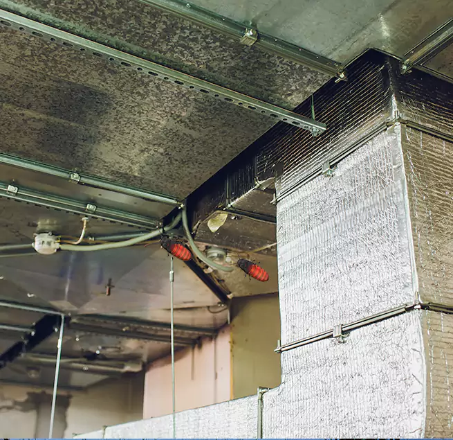 Why Homeowners & Businesses Trust Us in Maple Heights, OH?