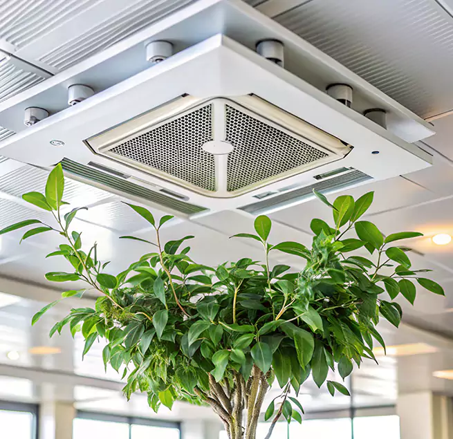 Why Homeowners & Businesses Trust Us in Maple Heights, OH?