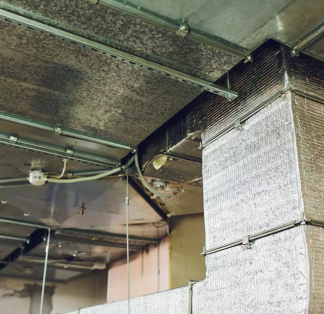 Why Homeowners & Businesses Trust Us in Maple Heights, OH?